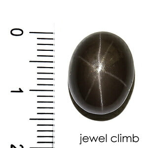 スターシリマナイト 宝石 ルース １０．１８ＣＴ