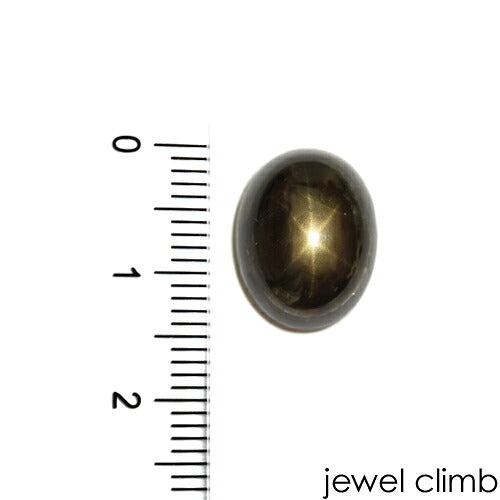 ブラックスターサファイア 宝石 ルース 13．11CT – 宝石の事なら