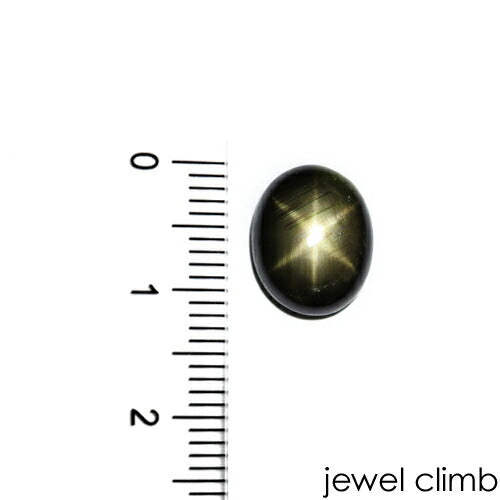 ブラックスターサファイア 宝石 ルース ６．８１ＣＴ