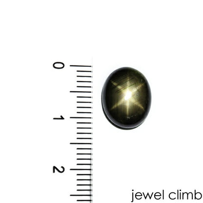 ブラックスターサファイア 宝石 ルース ６．８１ＣＴ