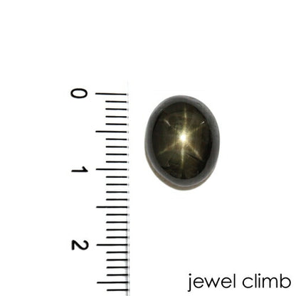 ブラックスターサファイア 宝石 ルース ７．６５ＣＴ