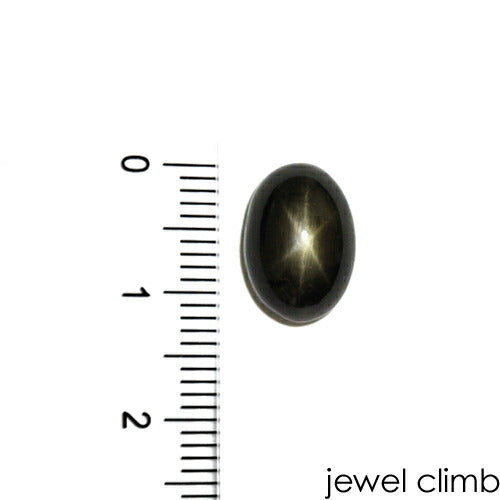 ブラックスターサファイア 宝石 ルース ６．５６ＣＴ