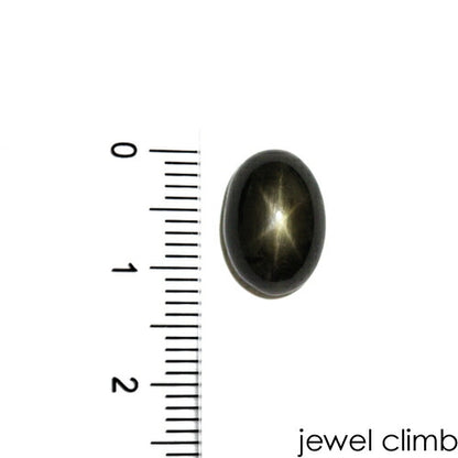 ブラックスターサファイア 宝石 ルース ６．５６ＣＴ
