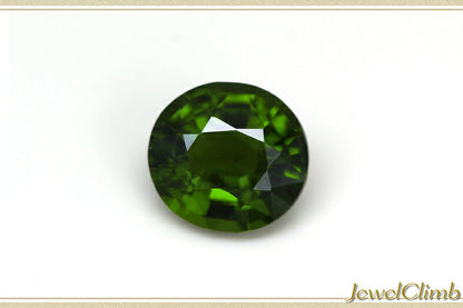 グリーンエンスタタイト 宝石 ルース ０．３６ＣＴ