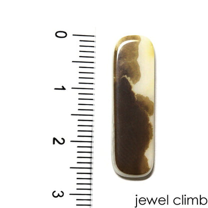 デンドリチックアゲート 宝石 ルース ６．１９ＣＴ