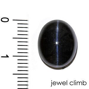 Jewelclimb plus