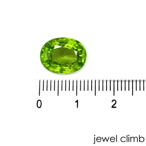 Jewelclimb plus