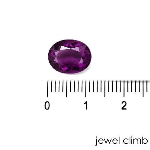 Jewelclimb plus